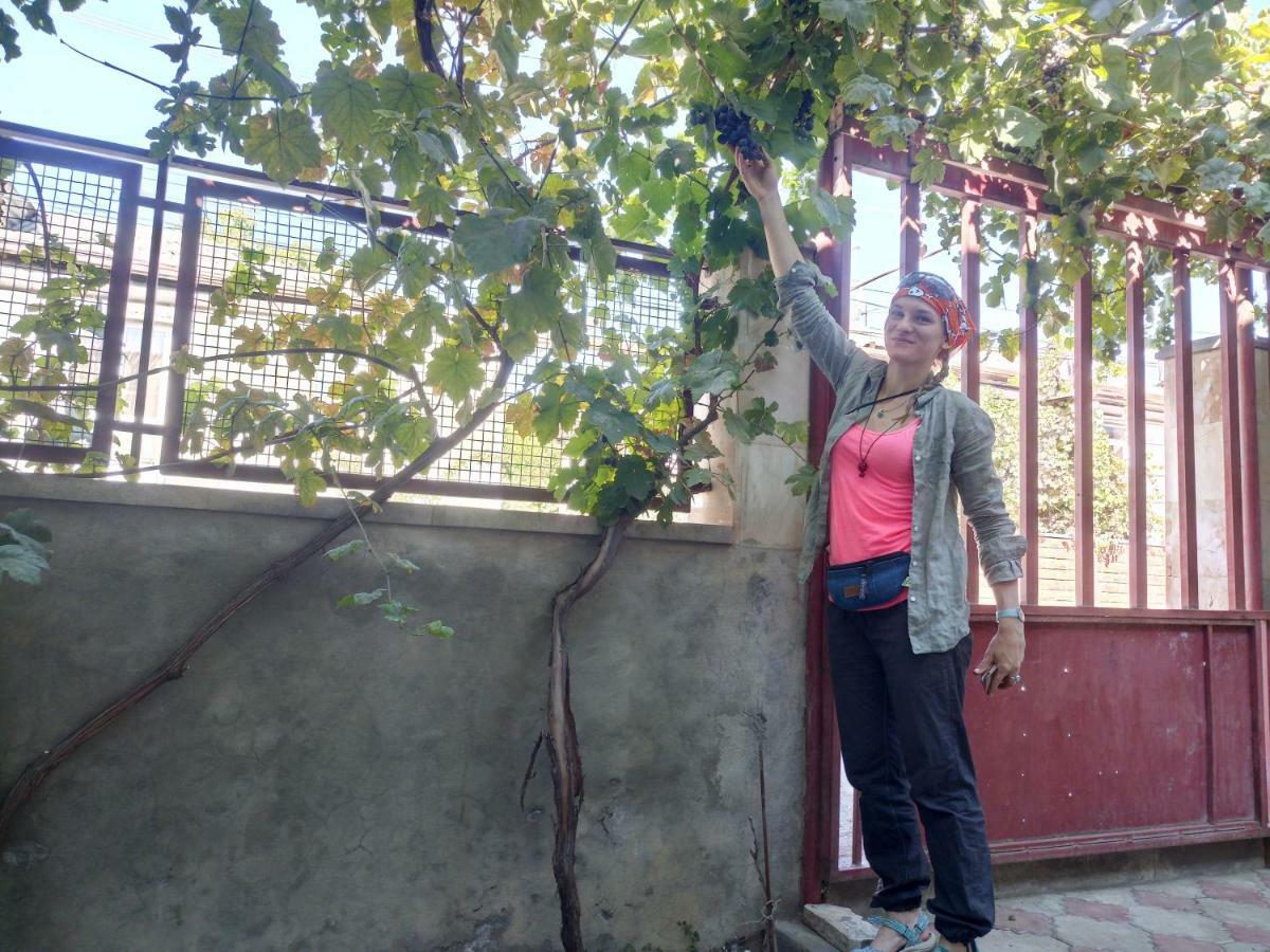 Karine B&B Yeghegnadzor Zewnętrze zdjęcie